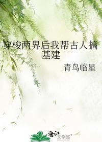 穿梭两界后我帮古人搞基建